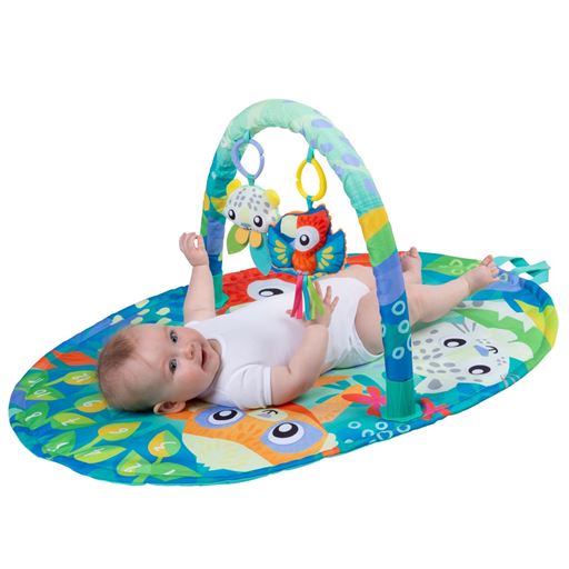 Playgro Jungle Play Gym