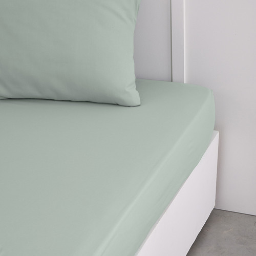Today - CELADON - Celadon