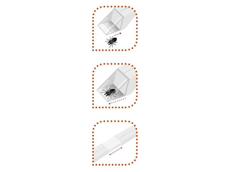 Windhager Spinnen- und Insektenfänger Easycatch, 35 cm, 1 S Tierfreundliche Beseitigung von Spinnen und Insekten