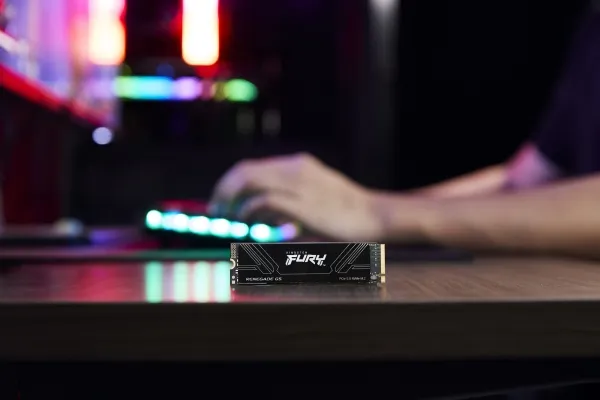 Kingston Fury Renegade G5 1TB (black, PCIe 5.0 x4, NVMe, M.2 2280)