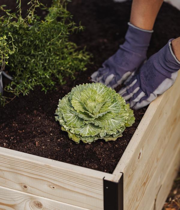 Upyard Holz-Hochbeet GardenBox I-Box, ca.