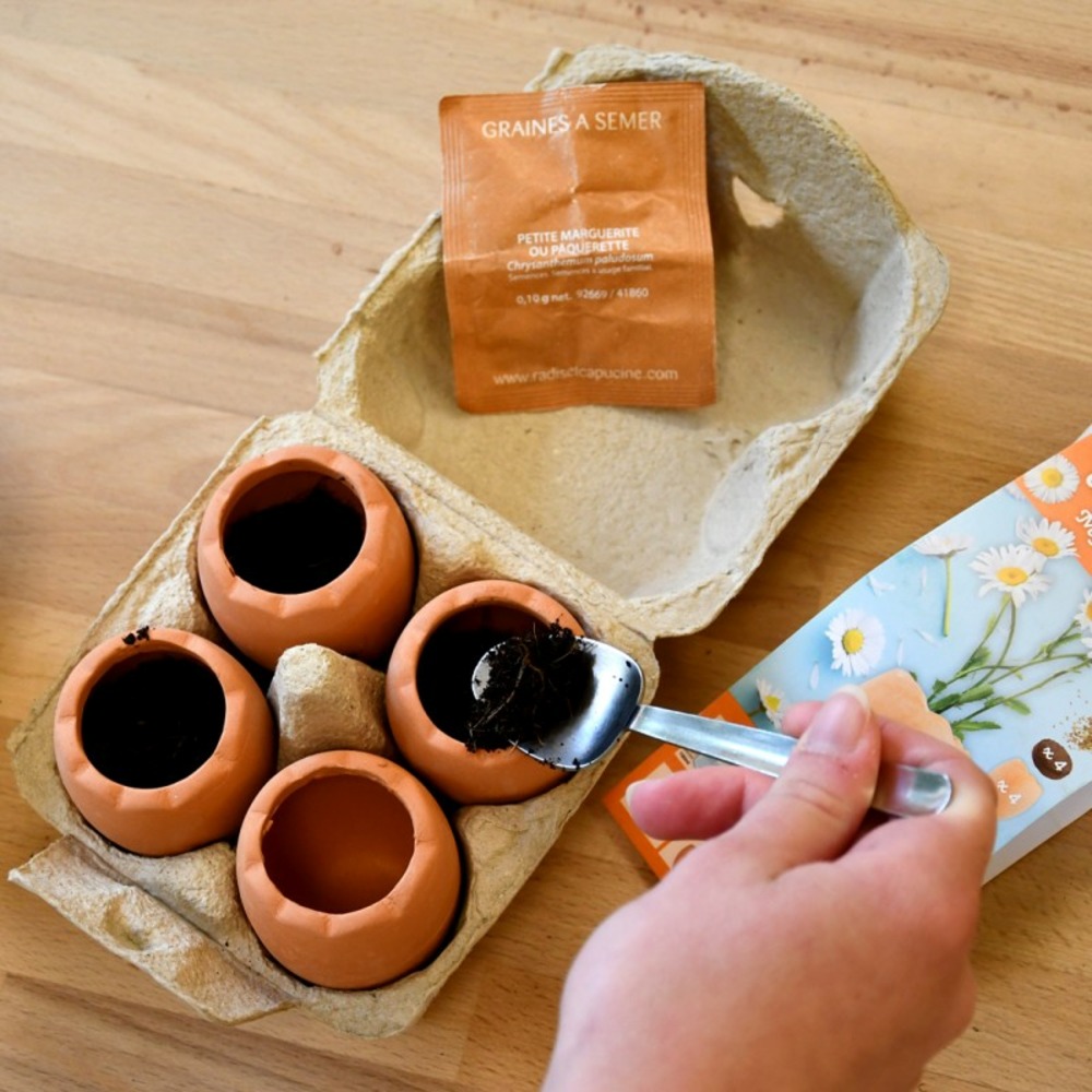 Kit de plantation 4 oeufs de pâques avec fleurs