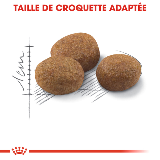Croquettes pour chat stérilisé de + de 7 ans Sterilised 7+ - Sac 3,5kg