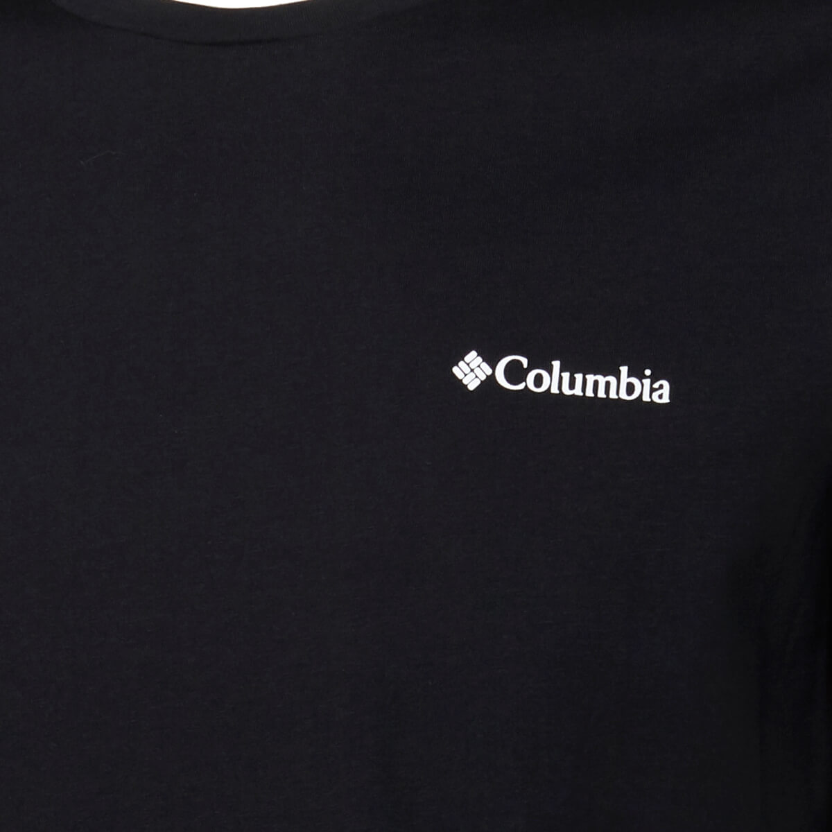 Columbia Rapid Ridge Back Graphic T-shirt Herre
