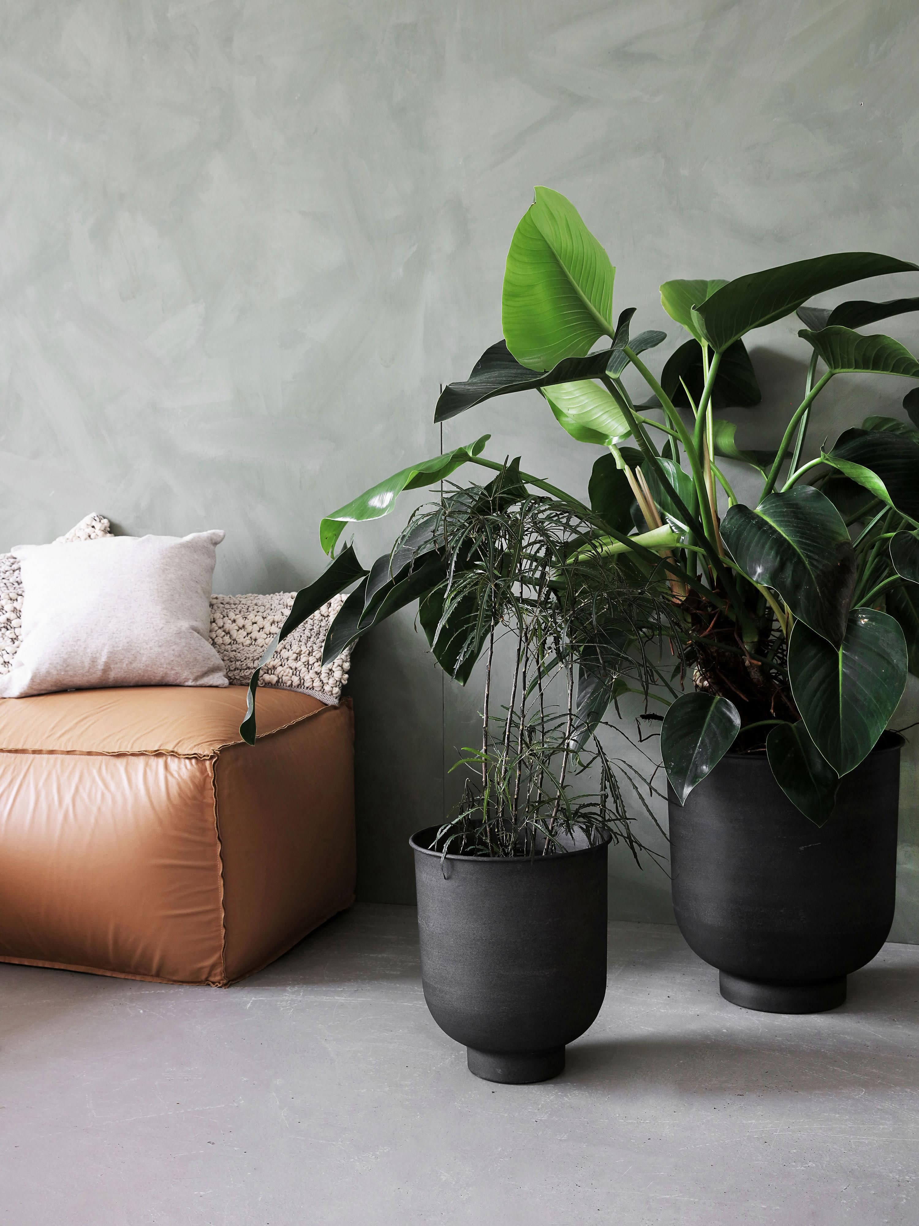 Grote plantenpotten Vig van metaal, 2-delig