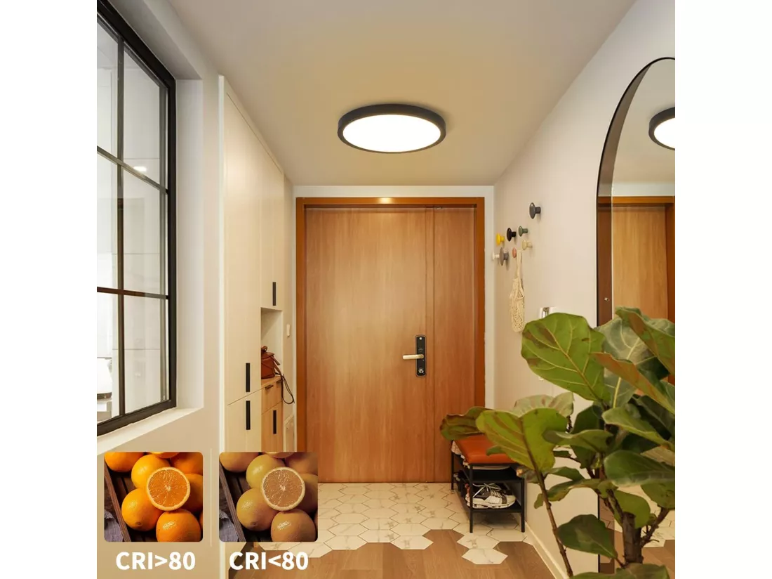 NETTLIFE Plafonnier LED plafonnier plat chambre lampe Ø22cm lampe salle de bain noir 15W IP44