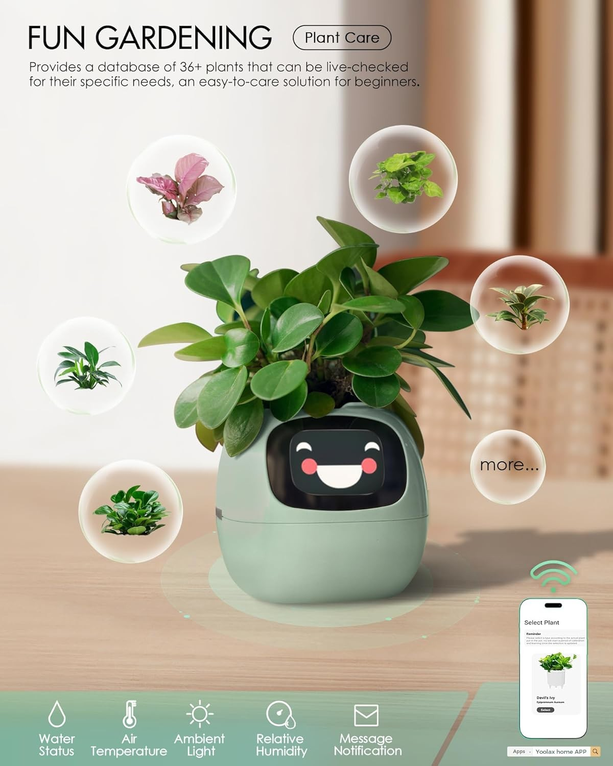(9x9cm) Intelligenter Mini USB Blumentopf Home Deko Pflanzen Übertopf mit 40 Emotionen / LCD Display inkl. Kieselsteine (iOS/Android) - Ivy / Grün