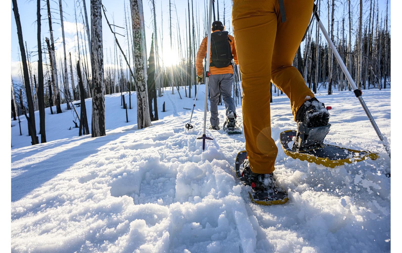 Schneeschuhwanderstöcke Poles DynaLock Trail, 80-140 cmZweiteiliger Skistock aus Aluminium