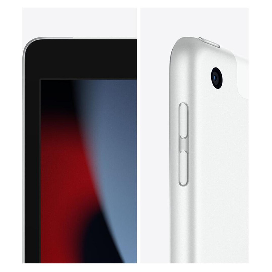 Apple iPad Wi-Fi + Cellular 10.2 - 256 Go - Argent (9 ème génération)