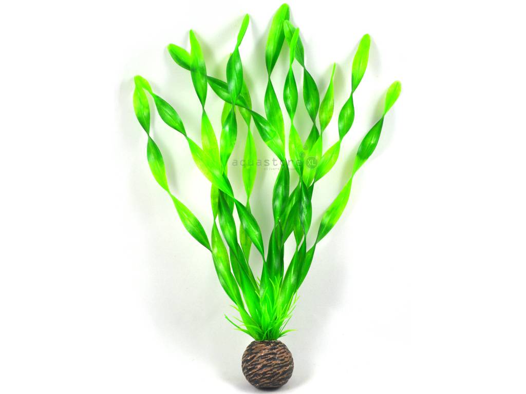 Easy plants middel 20cm NR.1 | decoratie aquarium