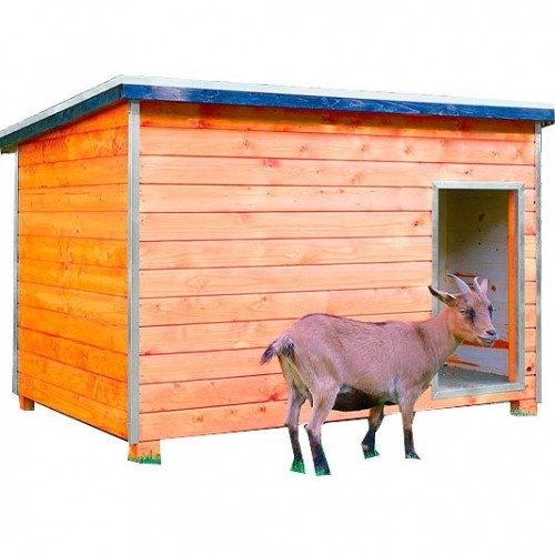 Galinheiro de fazenda com telhado impermeável para aves