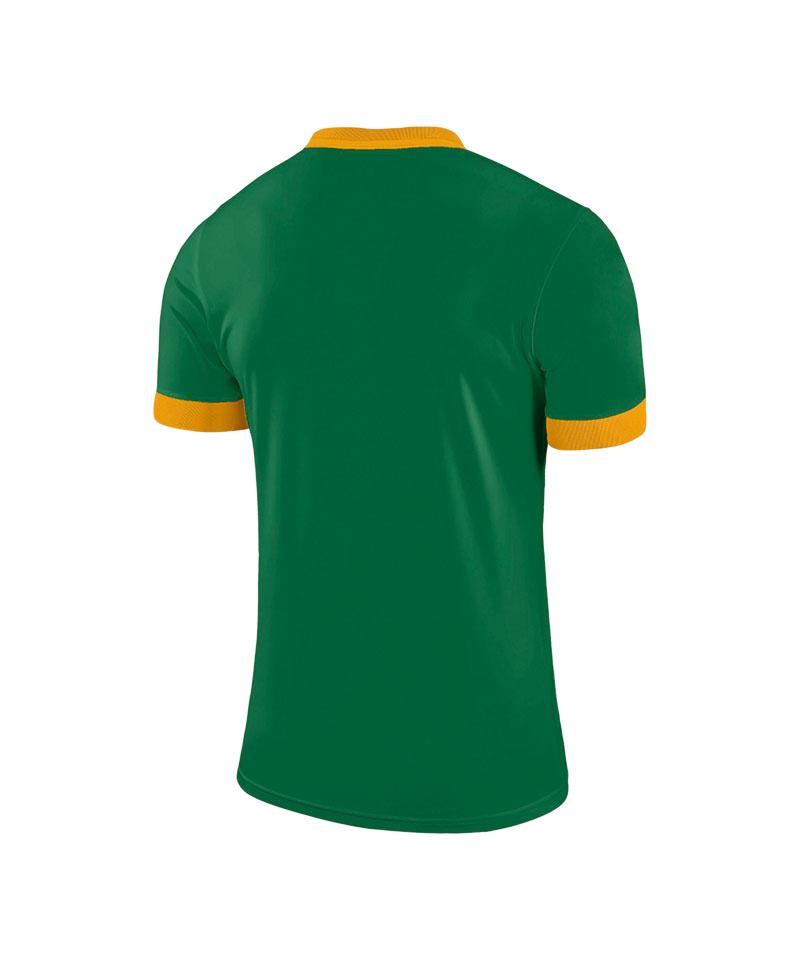 Nike Park Derby II Trikot Grün Gold F302