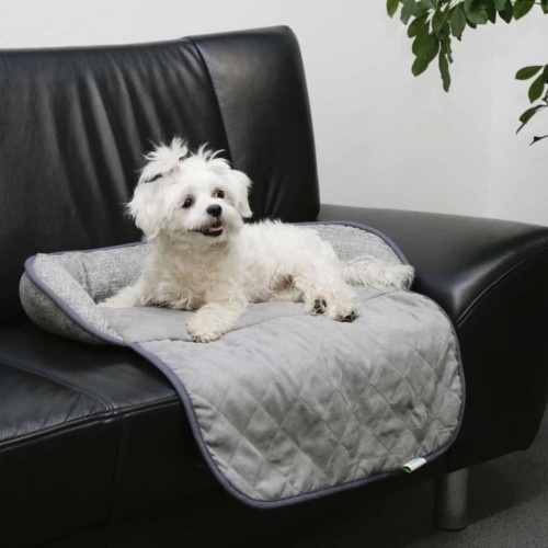 sofá-cama para cachorro cinza