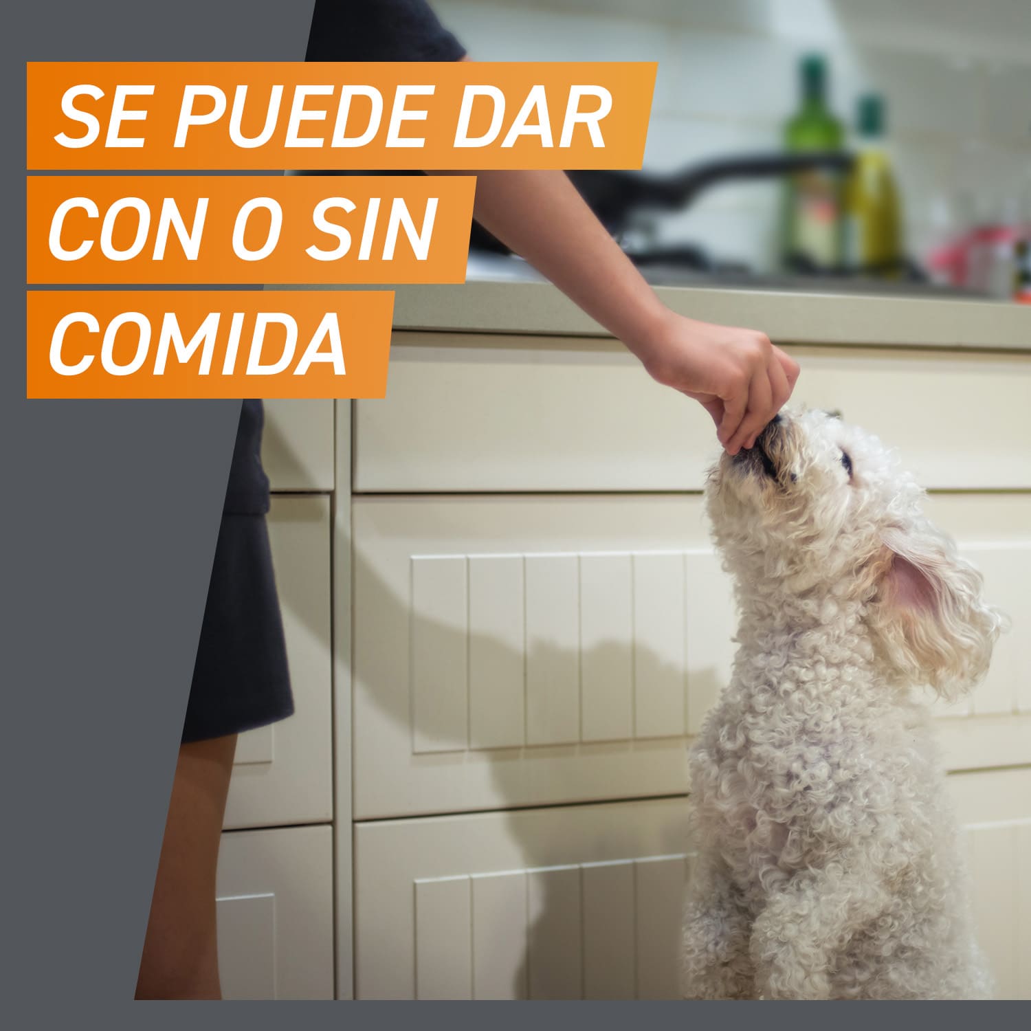 Comprimidos antiparasitários mastigáveis Frontpro para cães