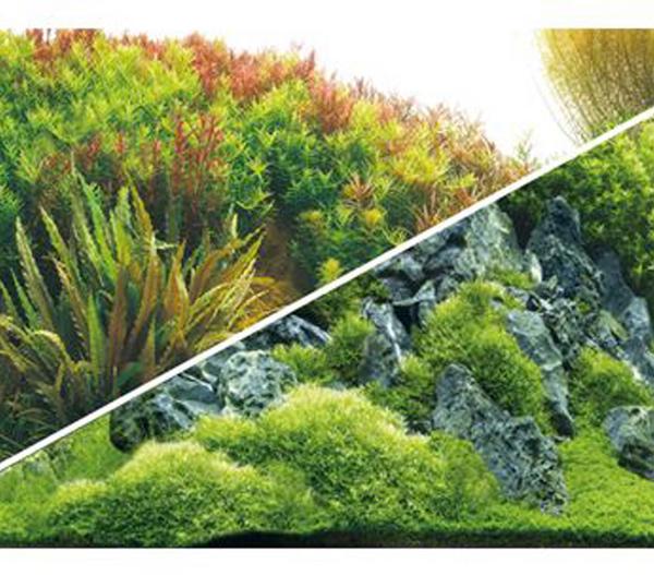 Hobby® Aquarium Rückwand Planted River/Green