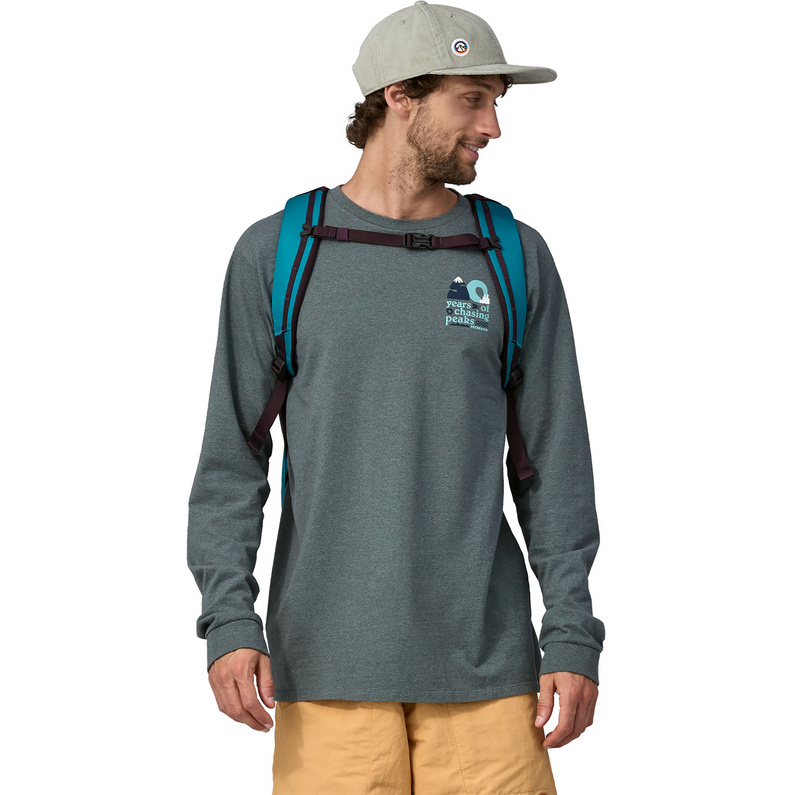 Patagonia Black Hole 25L Rucksack