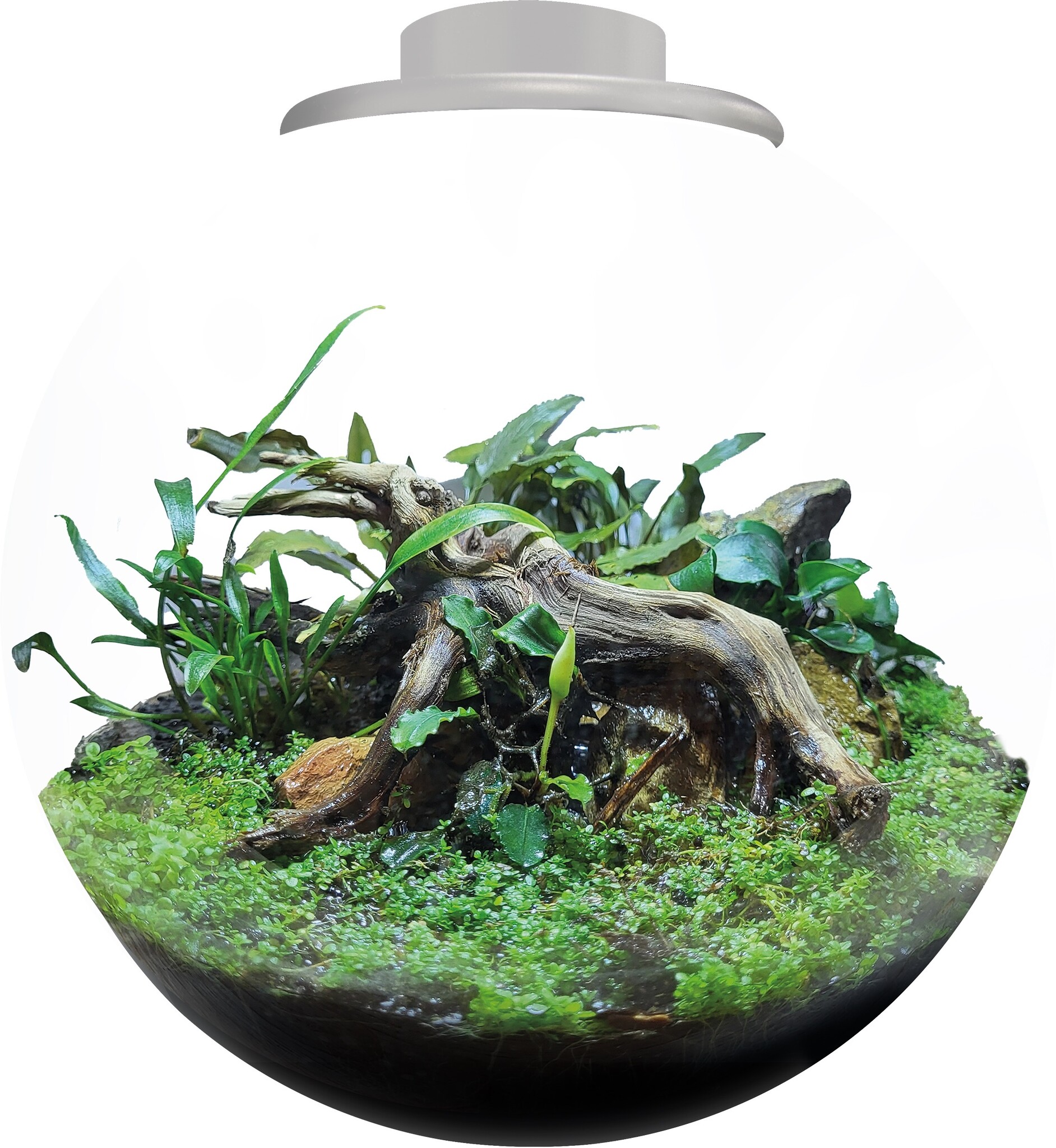 Bio Art Bowl 225 Wit