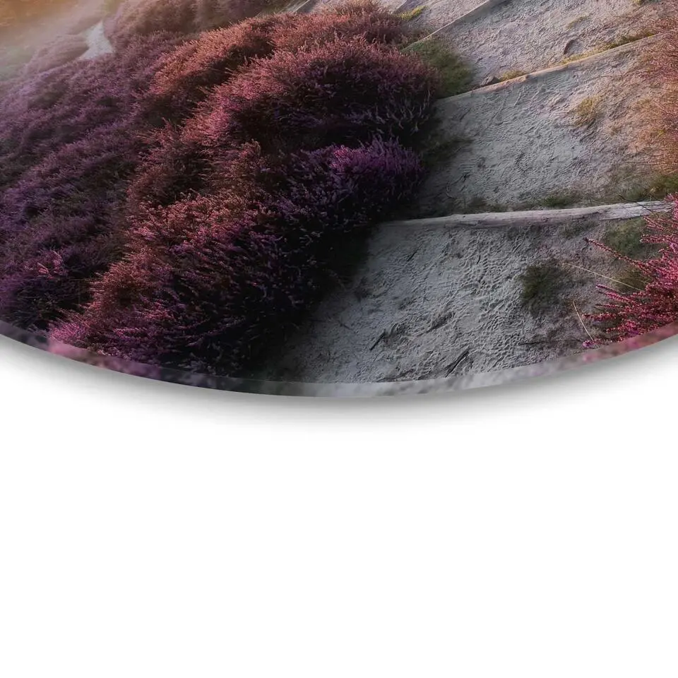 Glasschilderij Wandelpad langs de heide - Ø 50cm - Paars