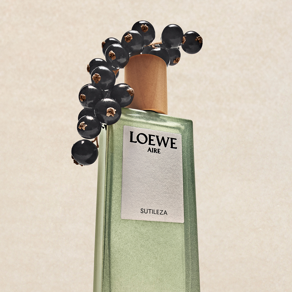 Aire Sutileza Eau de Toilette 100ml