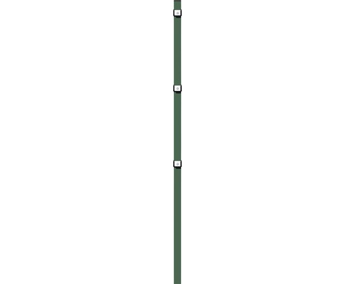 ALBERTS paalklemlip voor dubbeldraads gaaspaneel 6 x 4 x 150 cm groen