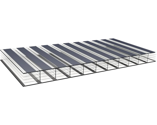Gutta polycarbonaat holle kamerplaat/wandplaat 20-16 ZEBRAPLATE antraciet 2000 mm x 980 mm x 16 mm