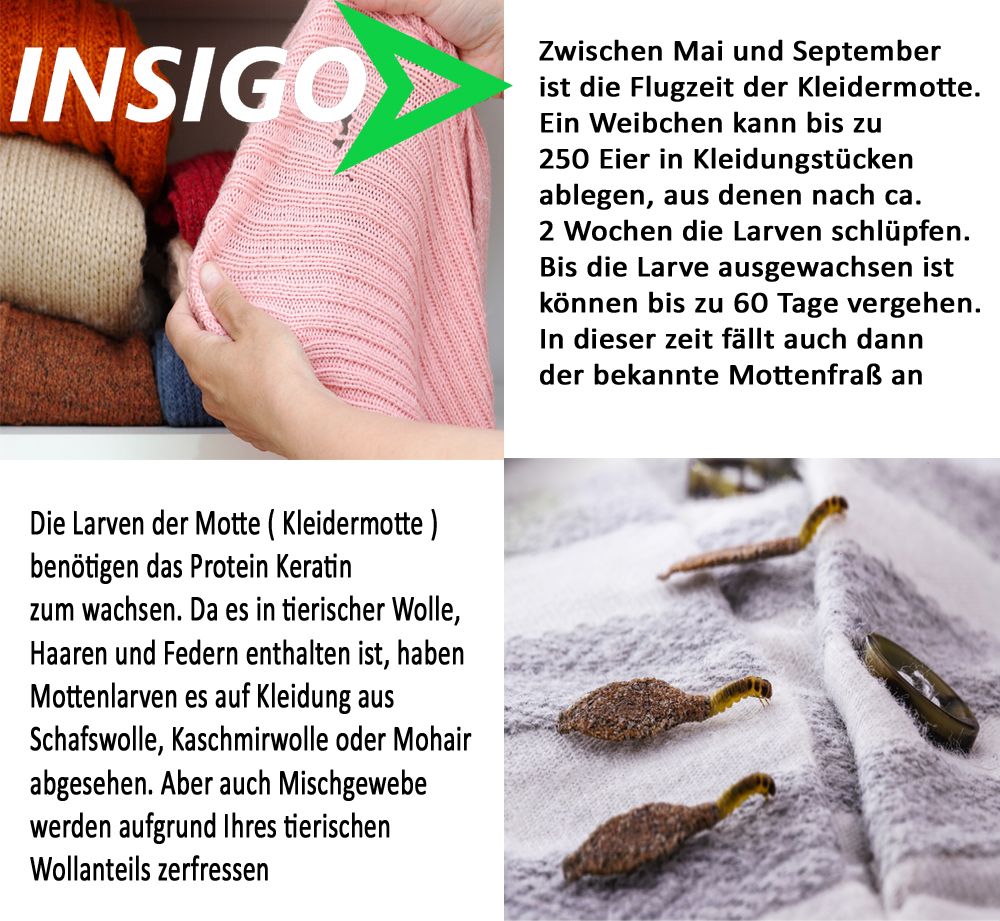 INSIGO Mottenspray