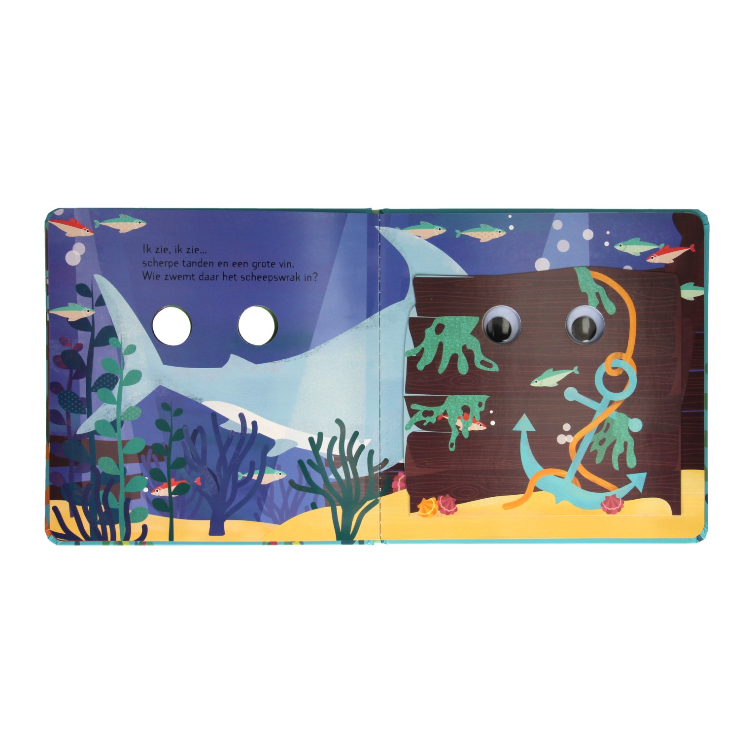 Flapjesboek Ik Zie, Ik Zie In de Oceaan
