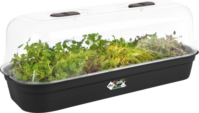Elho Green Basics kweektray L living black