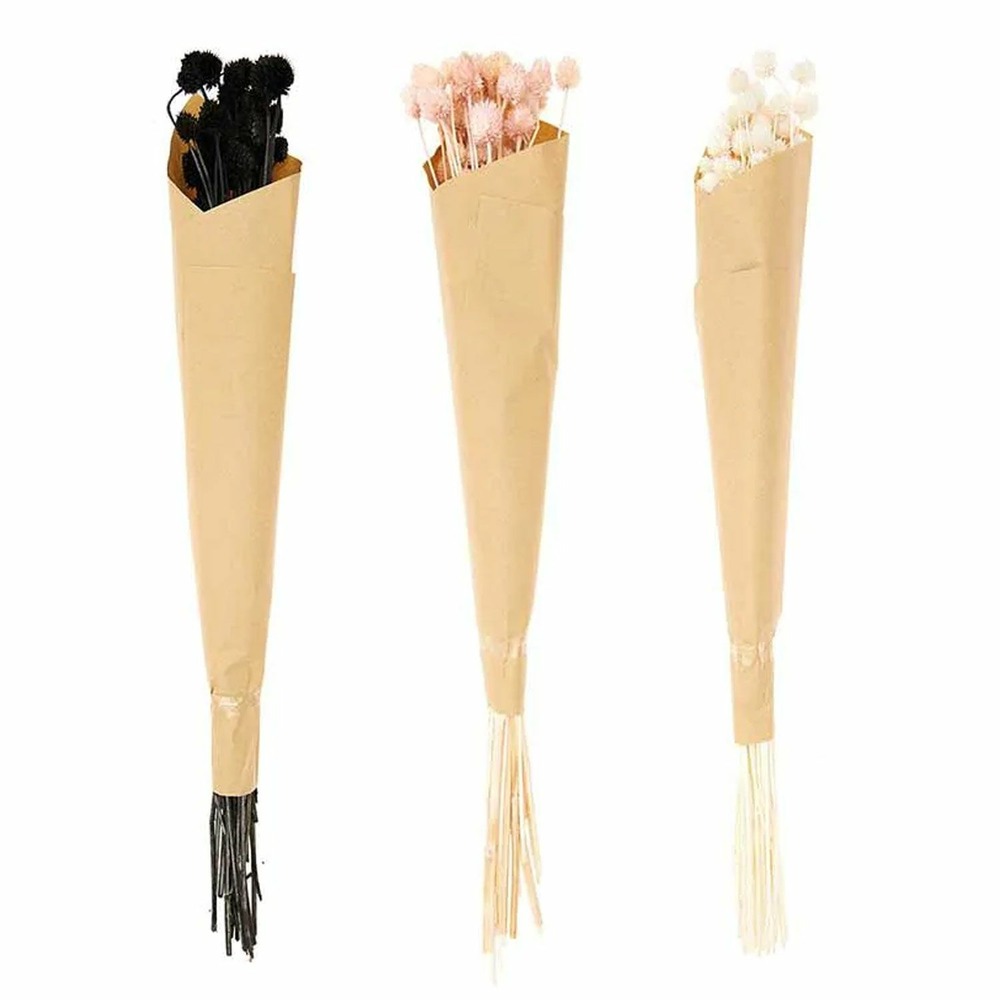 18 tiges de cardères japonais séchés multicolores 70 cm