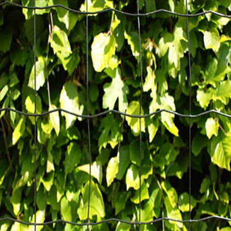 HORTUS havehegn PVC-fri, 5 x 10 cm, 100 cm x 25 m - sort