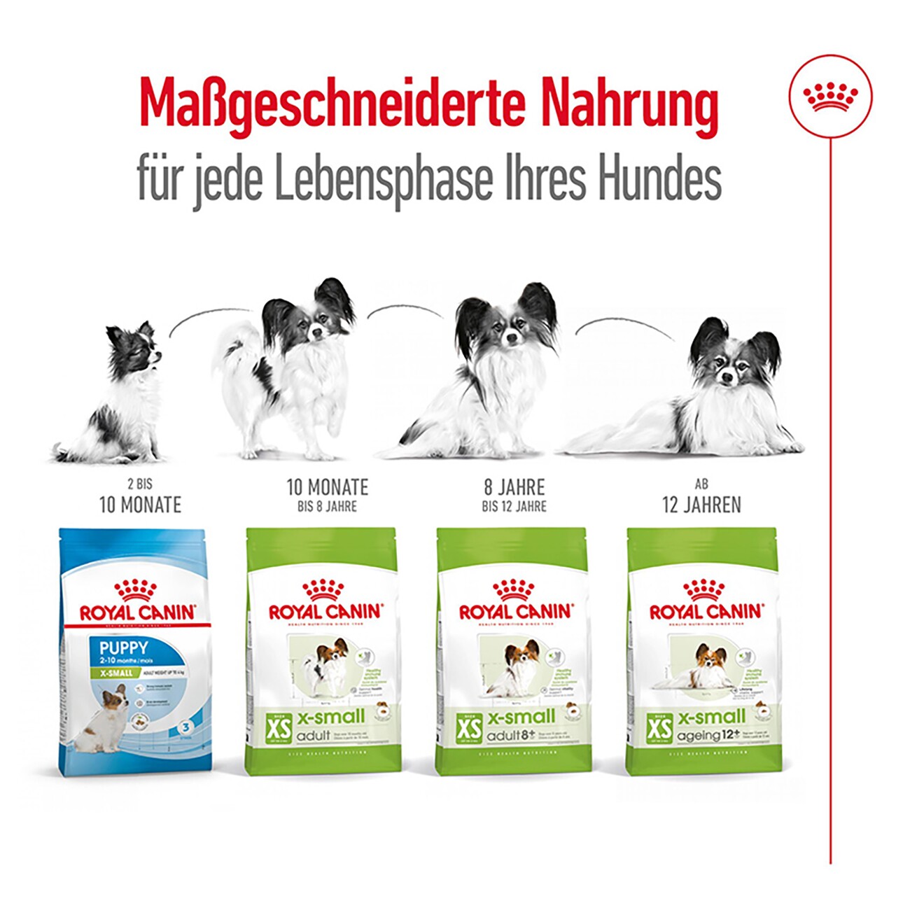 ROYAL CANIN X-Small Ageing 12+ 1,5 kg
