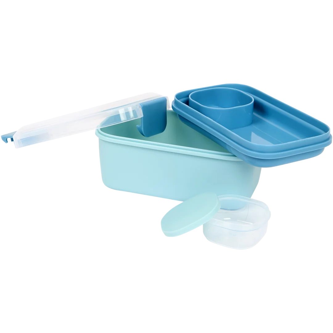 Jax lunchbox met divider 19 x 11 x 10 cm | diverse kleuren