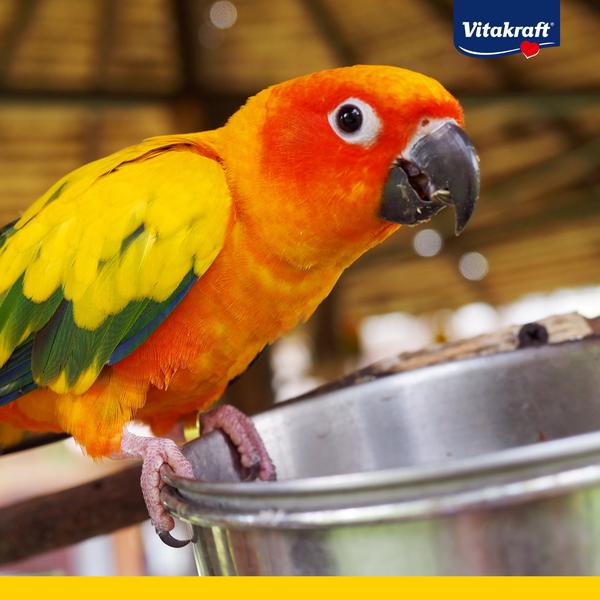 Vitakraft® Vogelfutter Amazonian für