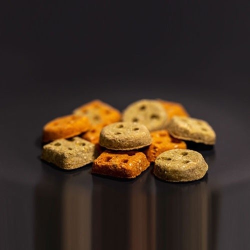 Biscoitos vegetarianos genuínos para cães