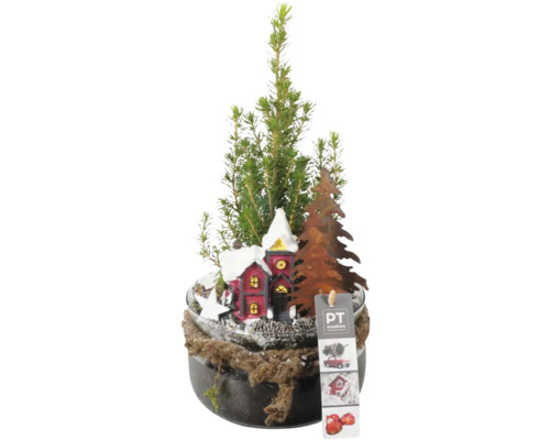 Arrangement Kerst Ø 16 cm glazen schaal