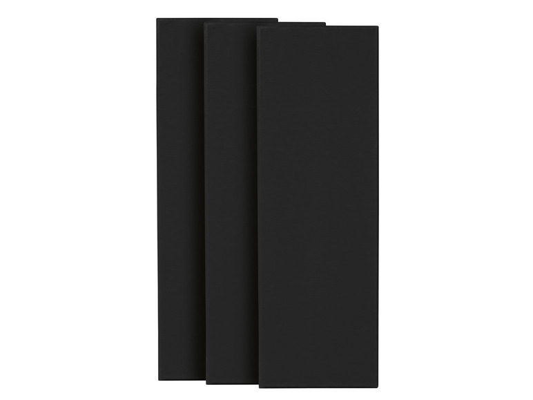 Canvas / canvasset