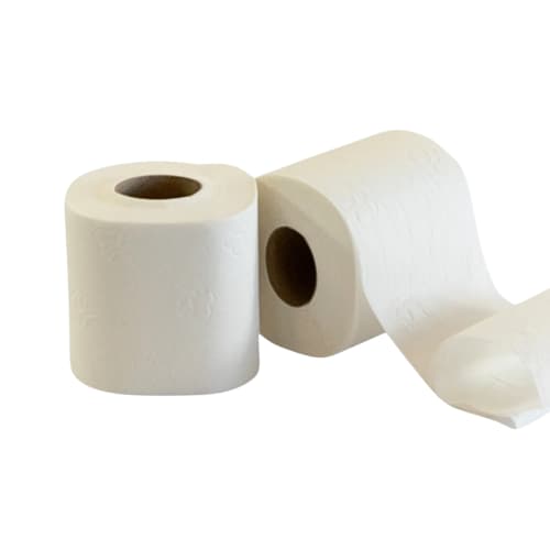 Papier toilette petit rouleau 2 plis 300 feuilles blanc 9,6 x 12,5 cm  Paredes Expert