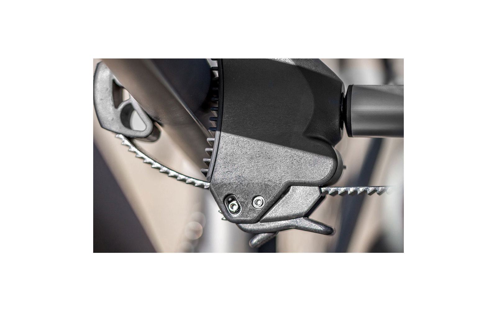Eufab Strap Rahmenhalter beidseitig