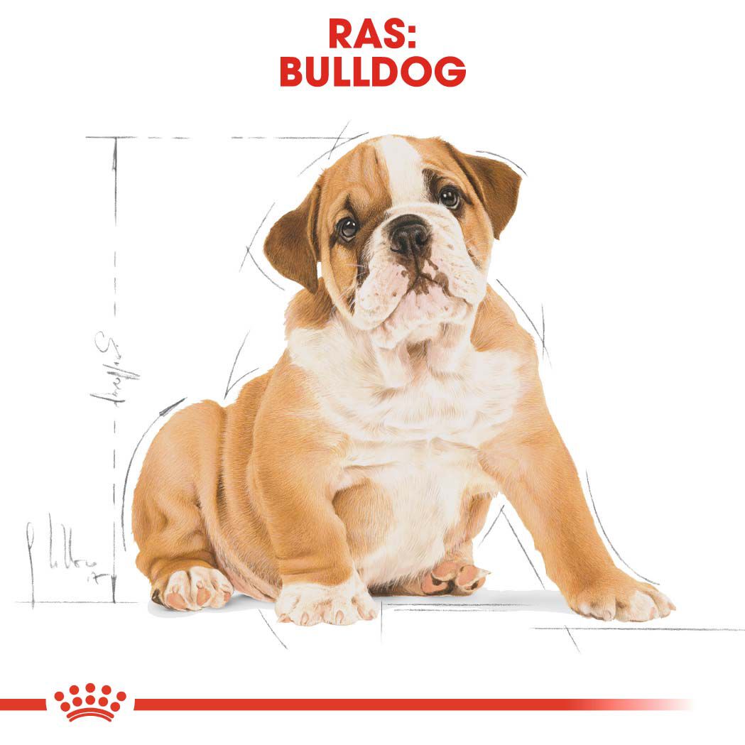 Royal Canin Bulldog Puppy - Hondenvoer - 3 Kilogram - gevogelte