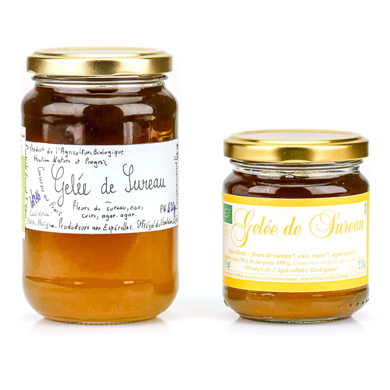 Gelée de fleurs de sureau des Cévennes