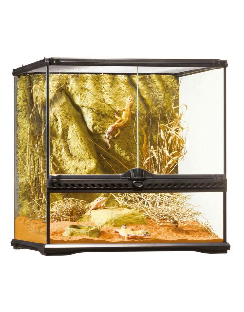 Exo Terra Glas Terrarium & Achterwand - Terraria