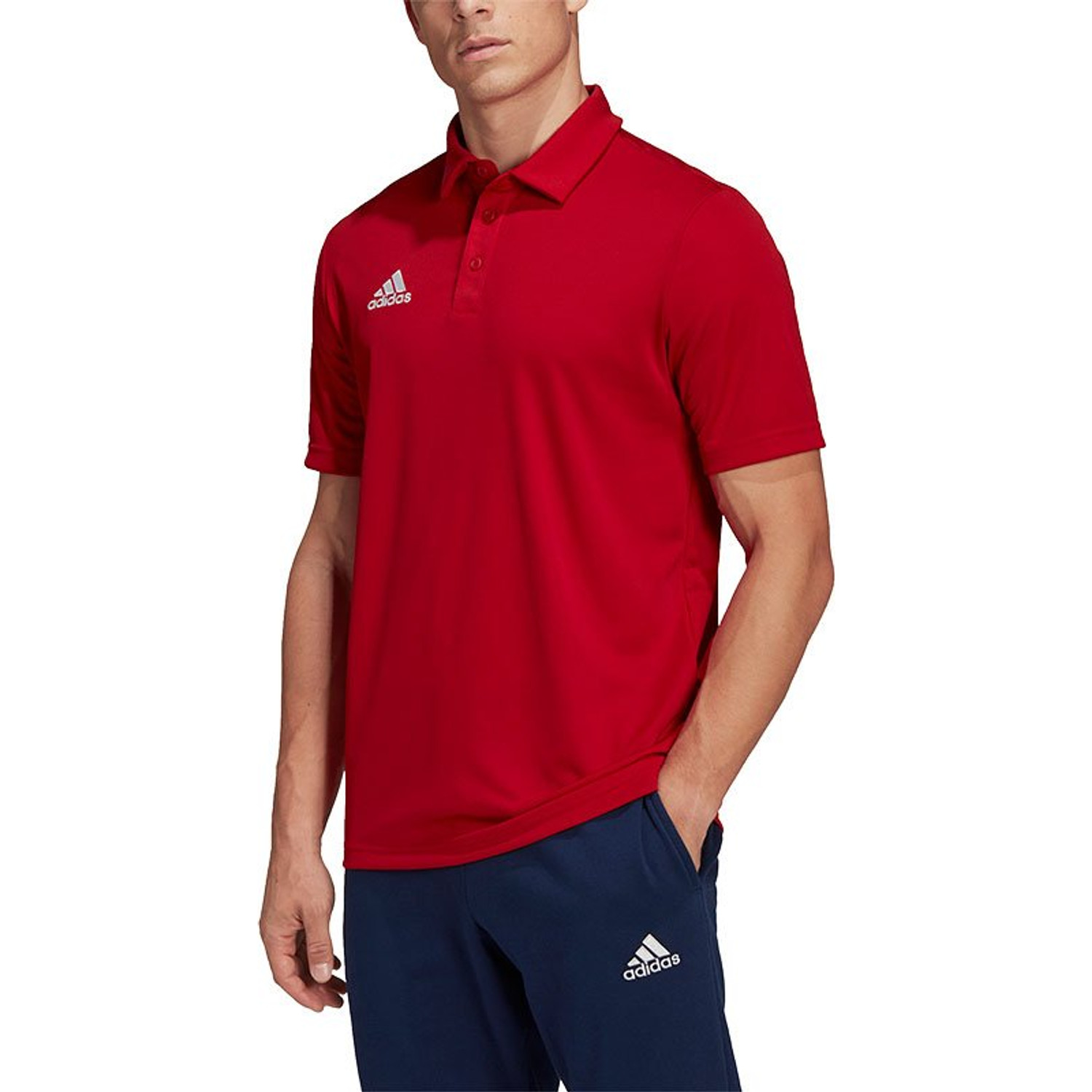 adidas Entrada 22 Polo