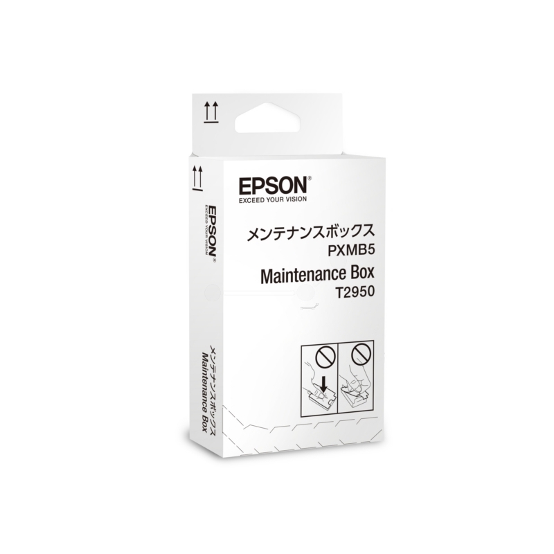 Epson T295000 Wartungskit