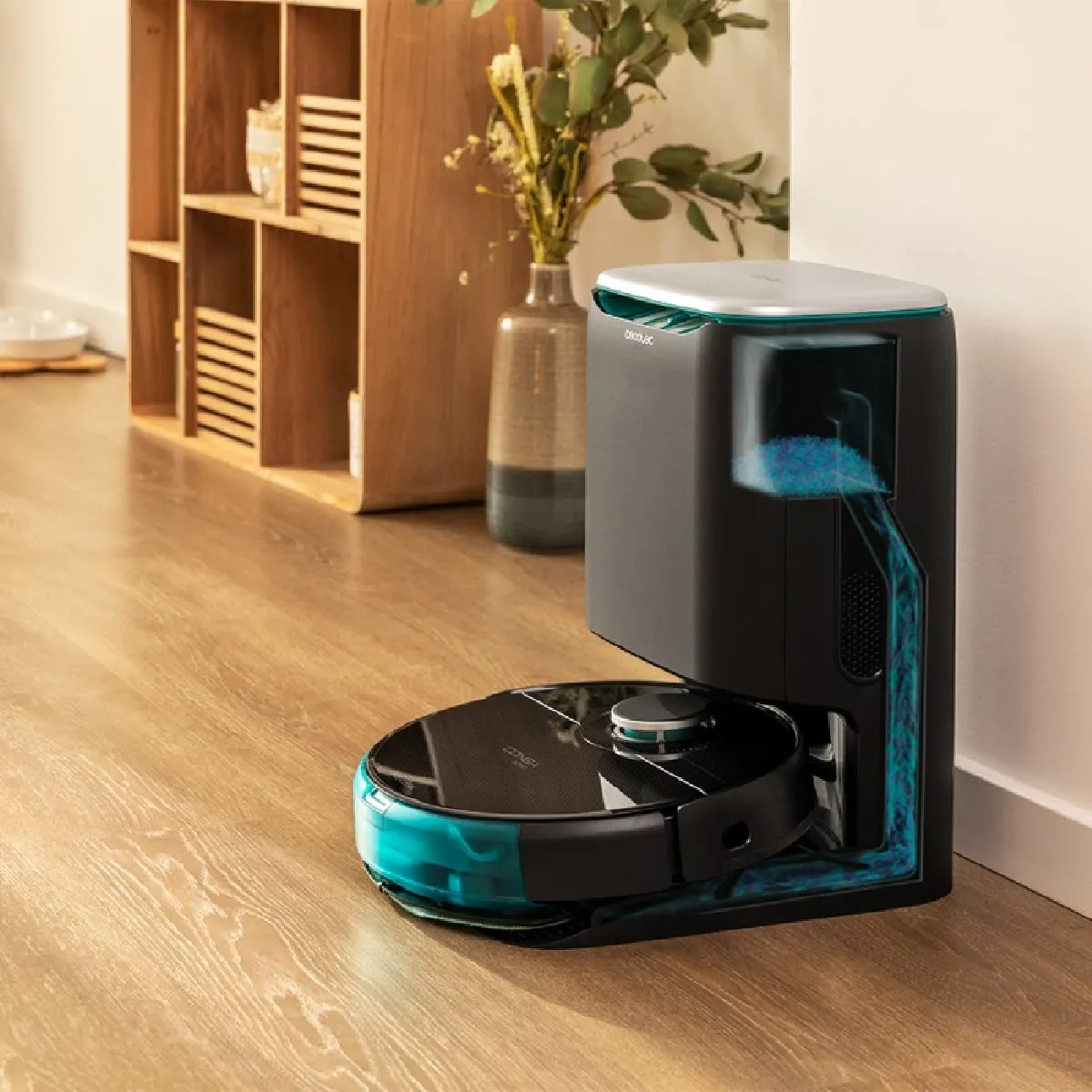 Cecotec Conga Home 10000