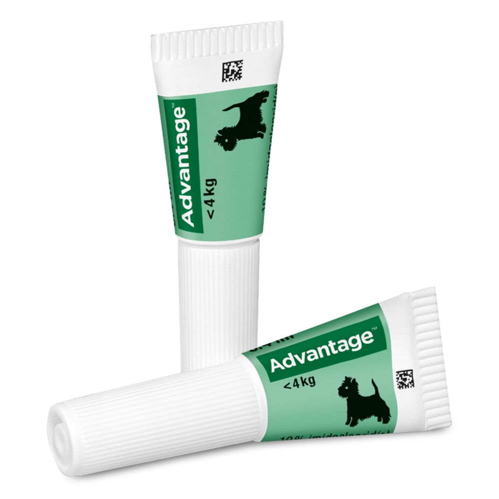 Advantage® 40 mg Spot-On für Hunde bis 4 kg