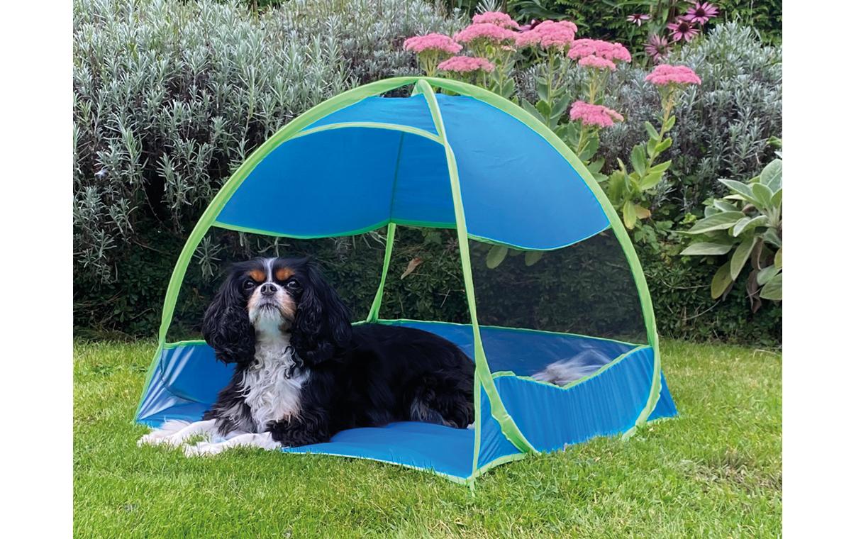 HundezeltStrandmuschel für Hunde
