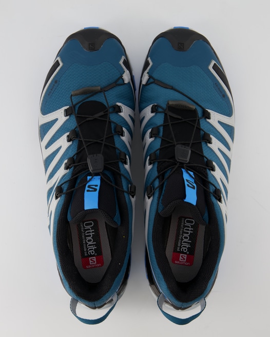 Salomon XA Pro 3D v8 GTX Wanderschuhe in Blau