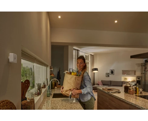 Philips Hue Motion Sensor