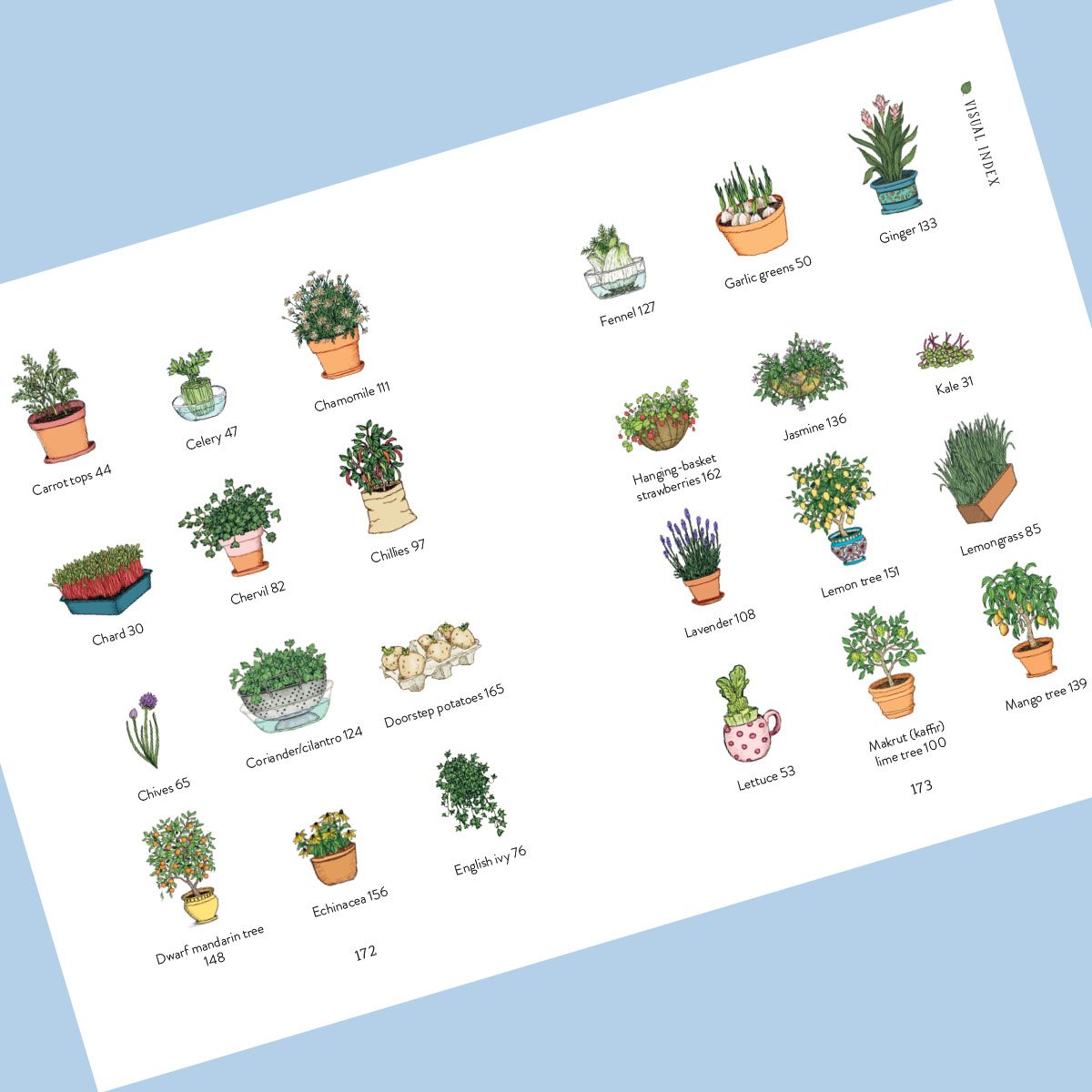 The Windowsill Gardener: 50 Easy-to-grow Plants to Transform Your Home (Hardback)
