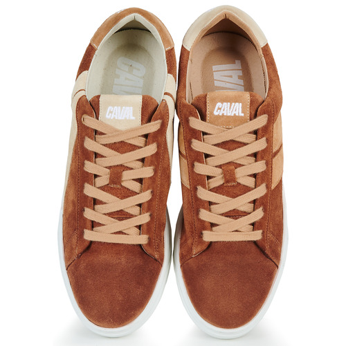 Caval - SLASH BROWN COFFEE - Marron / Beige